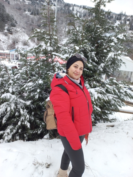 Şule