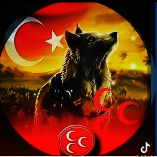 Kürşat