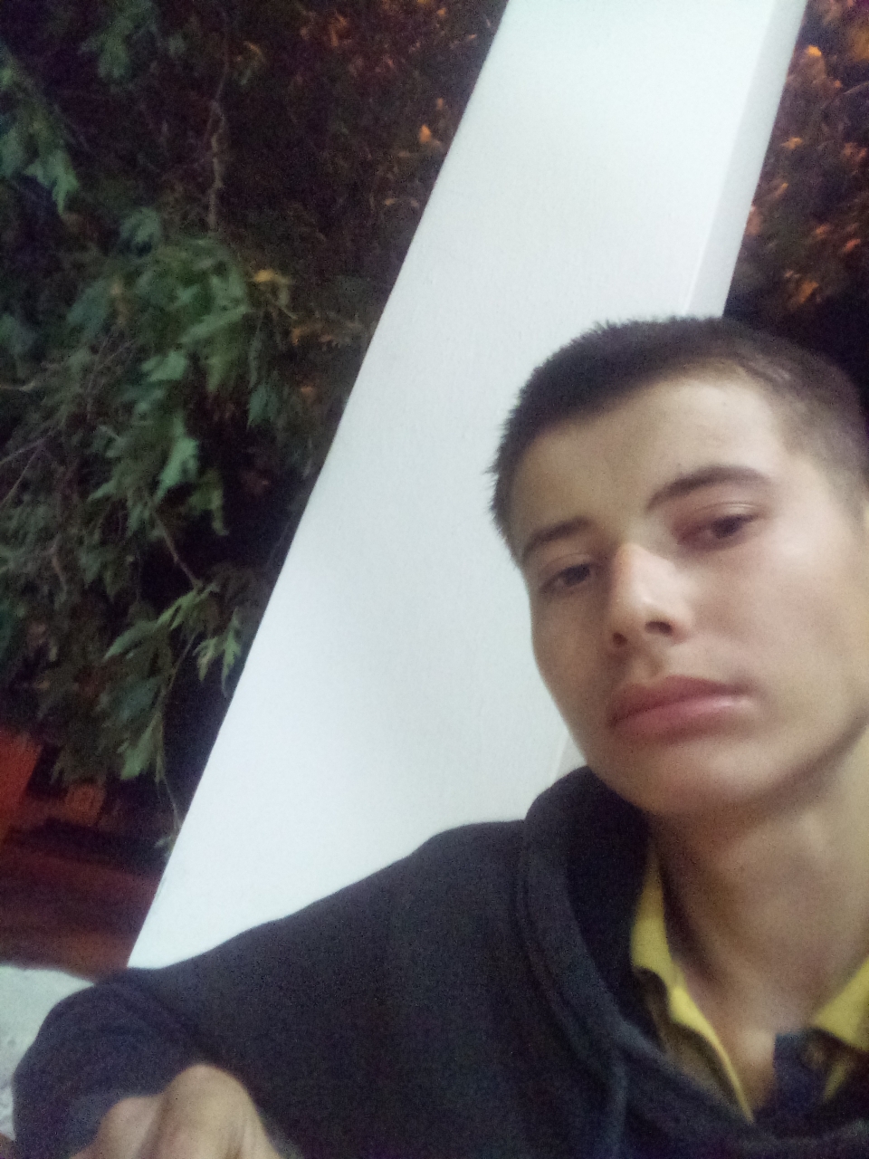 Fevzi