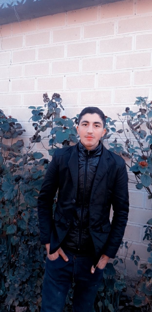 Qedir