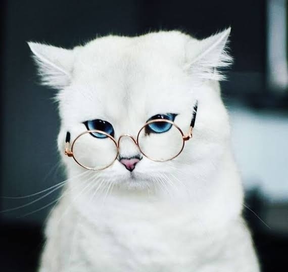 Kadir