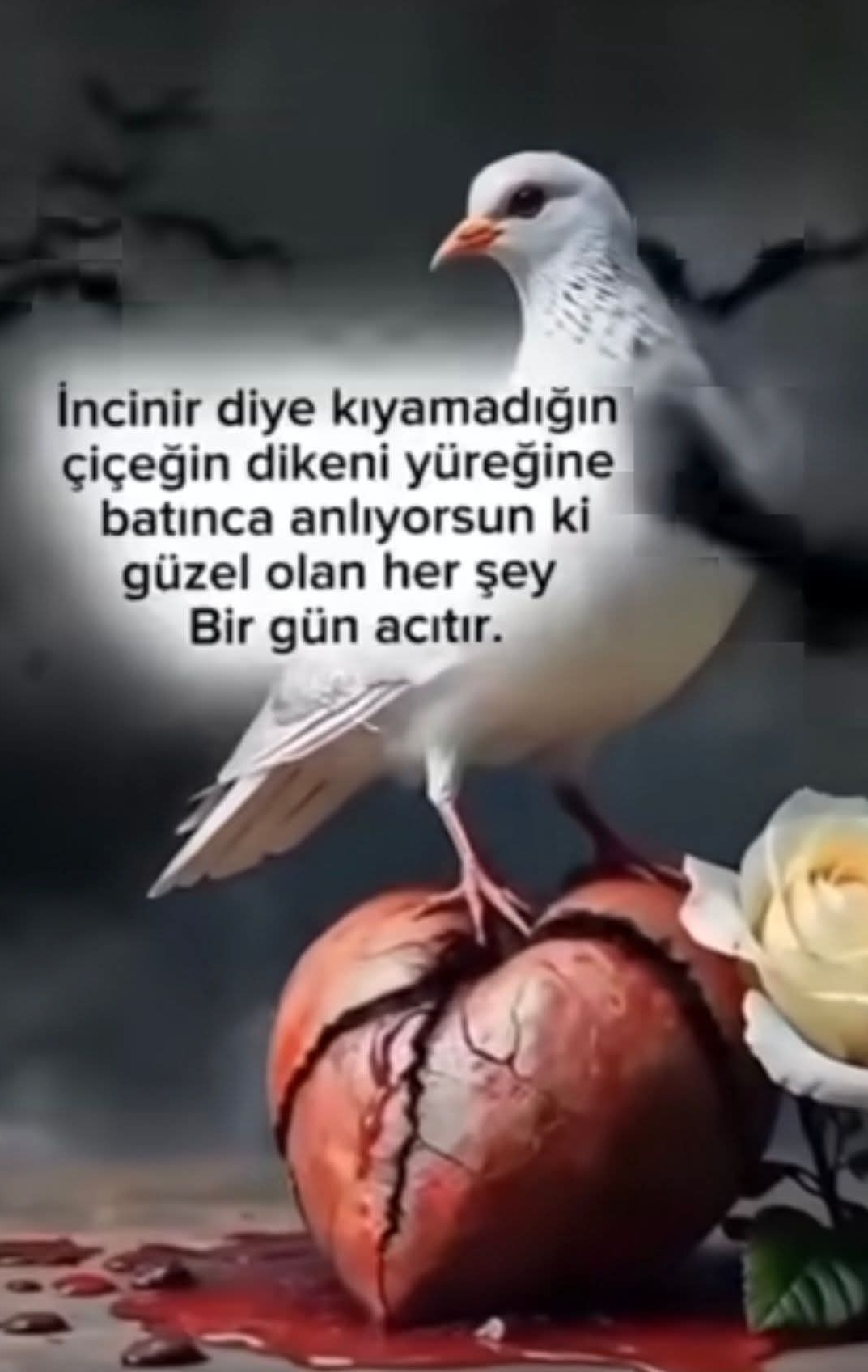 Meryem