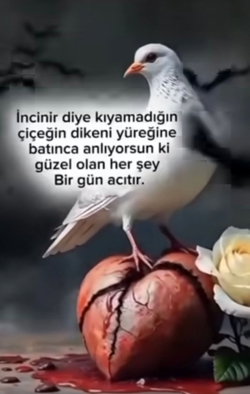 Meryem