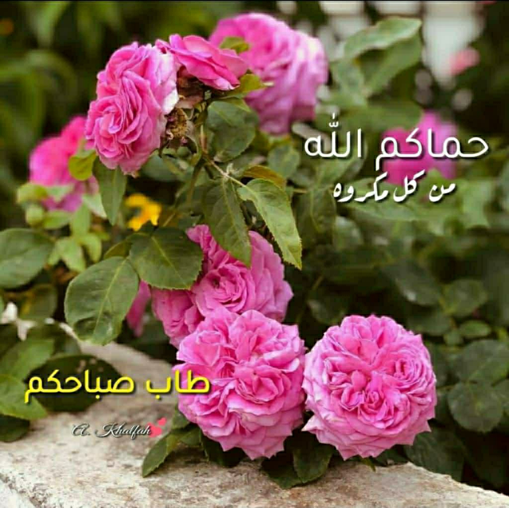 Mohammad
