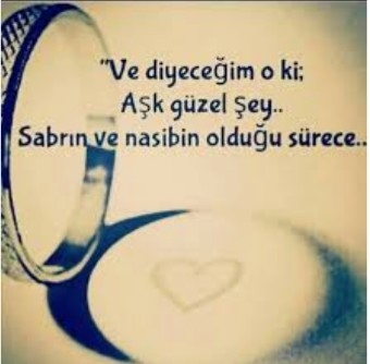 Sibel
