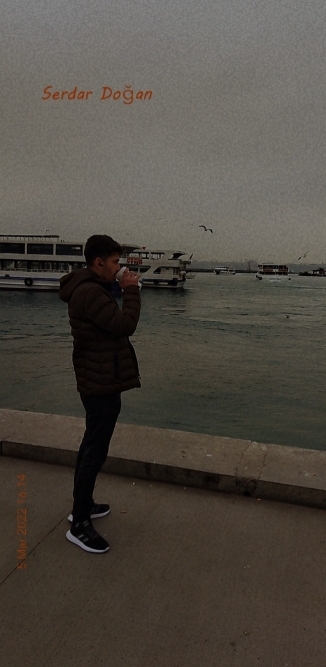 Serdar