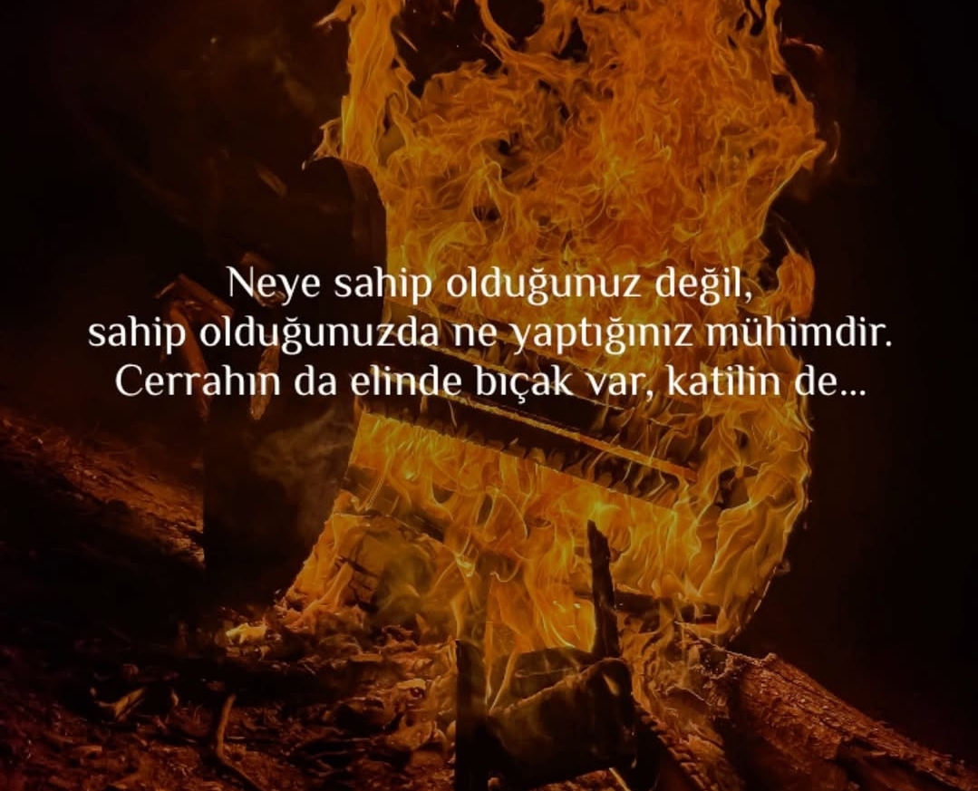 Cansın