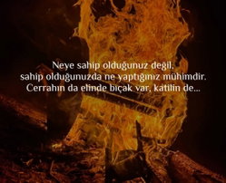 Cansın