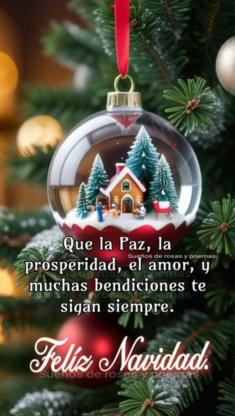Anonimo