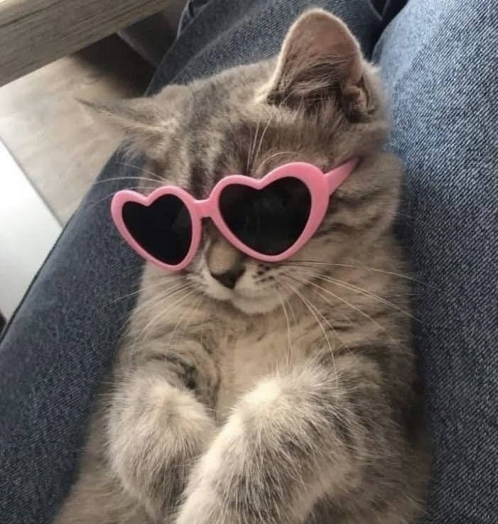 Suu