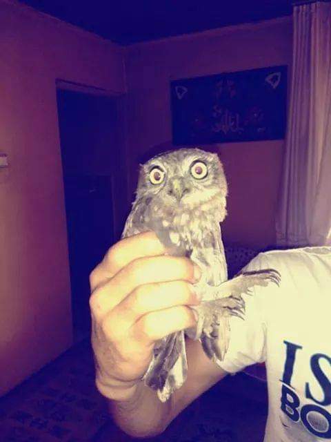 Menderes