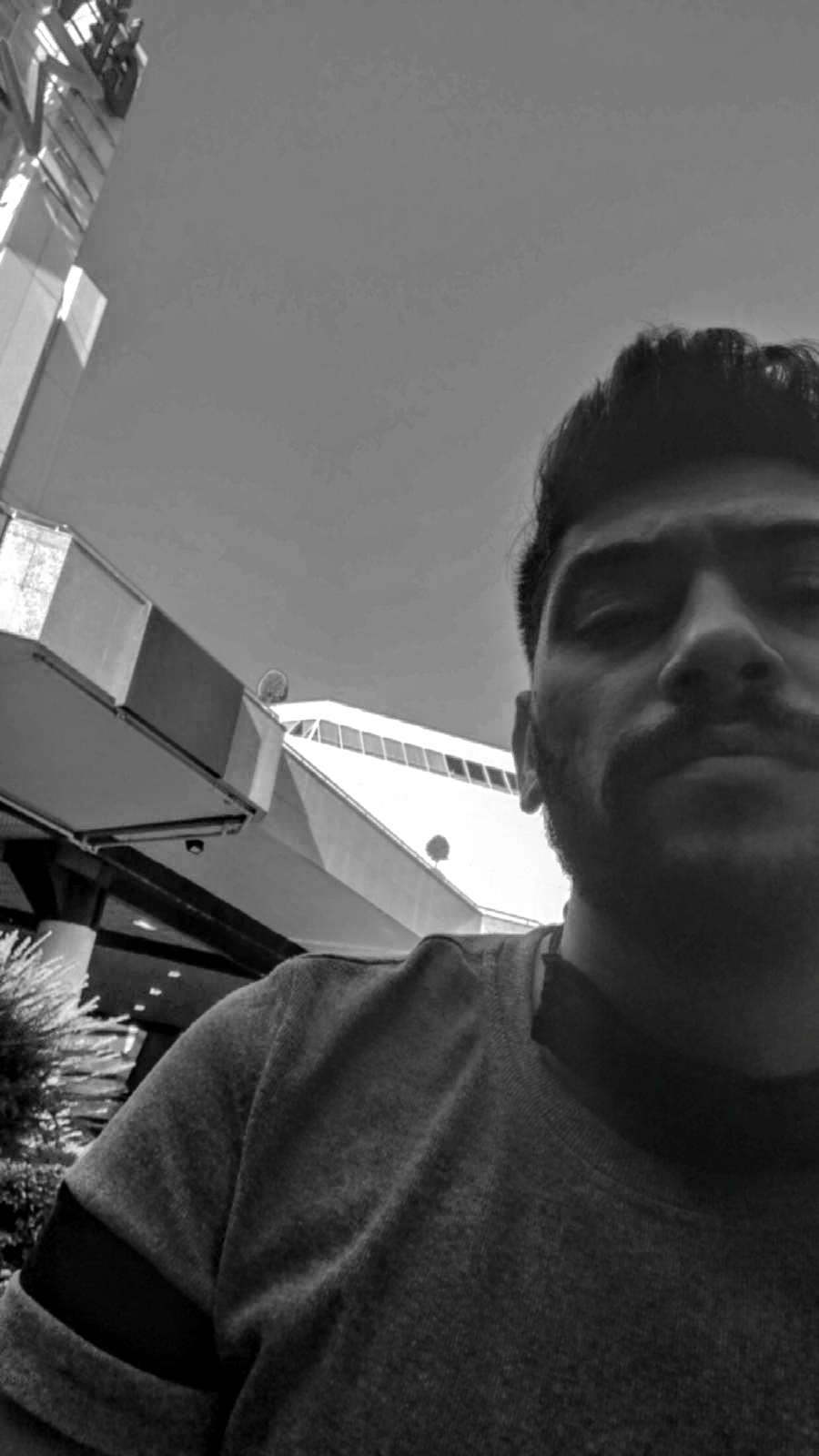 Halil