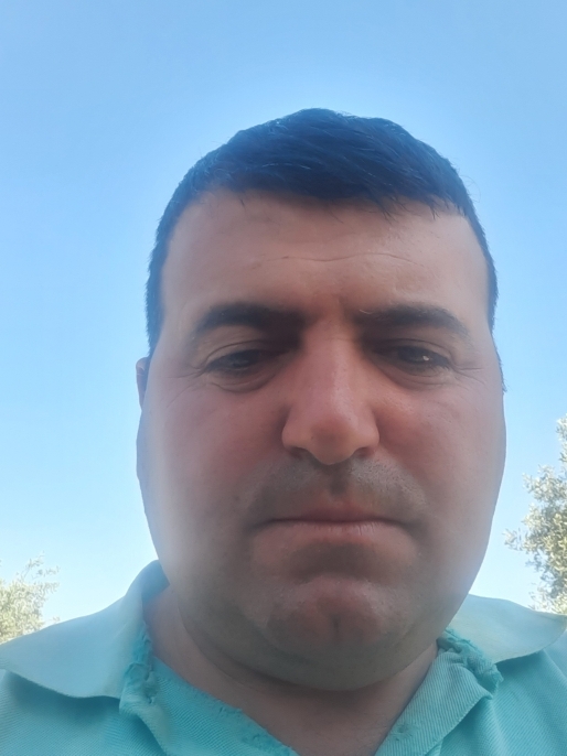 Barış