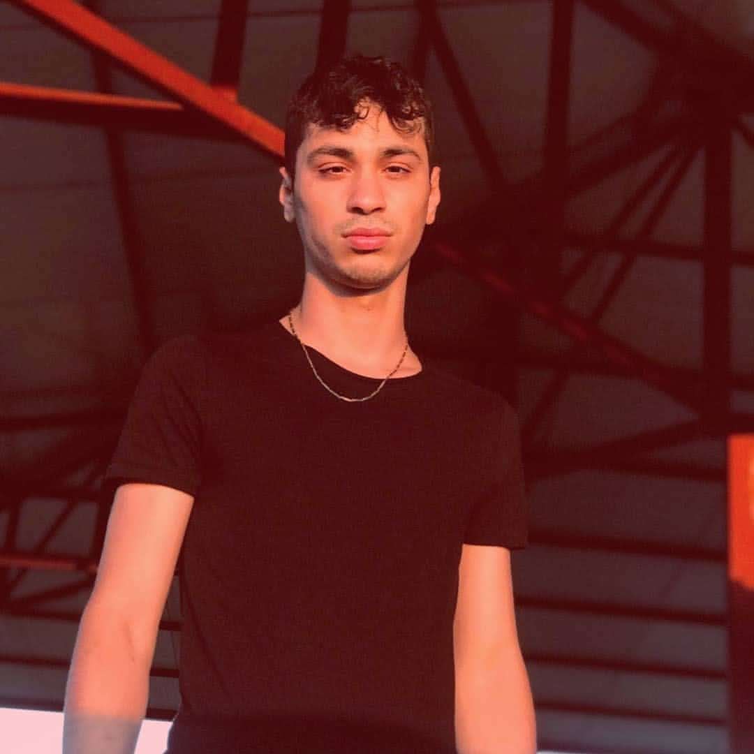 Şahin