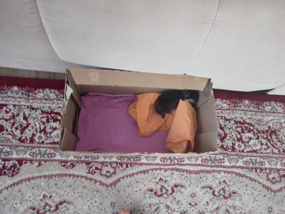 Emirhan