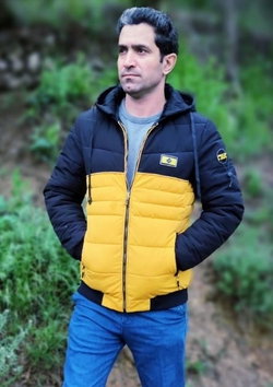 Artin