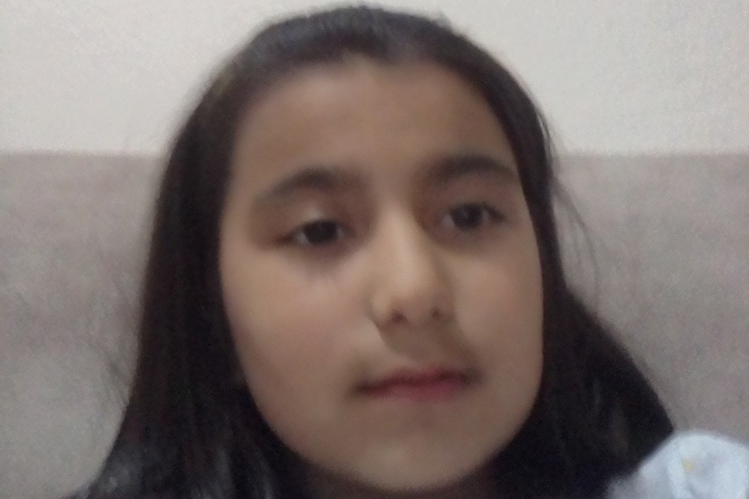 Nisa
