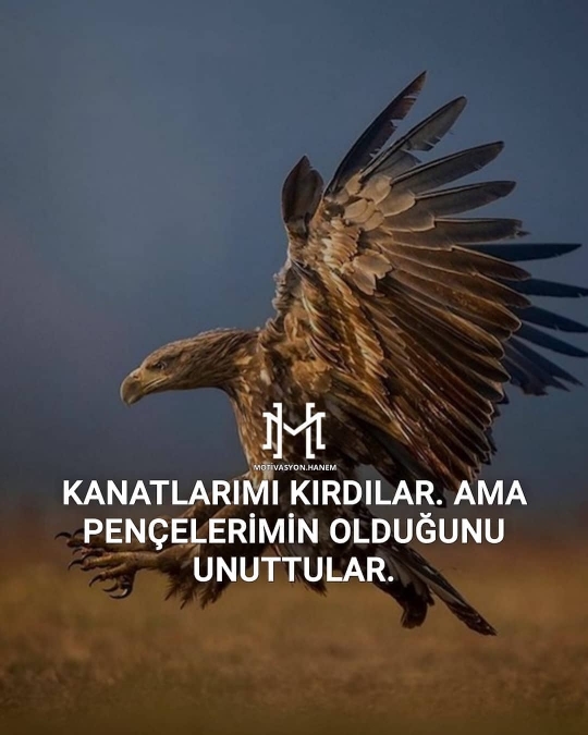 PAWA