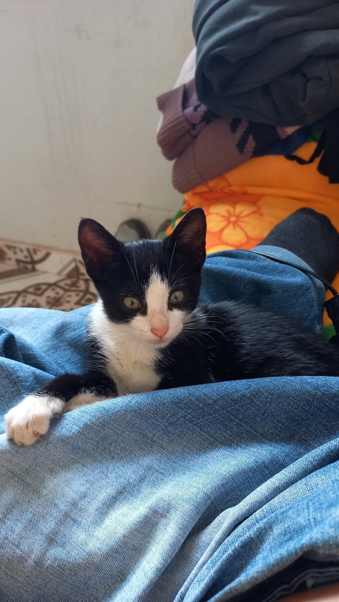 Marcos