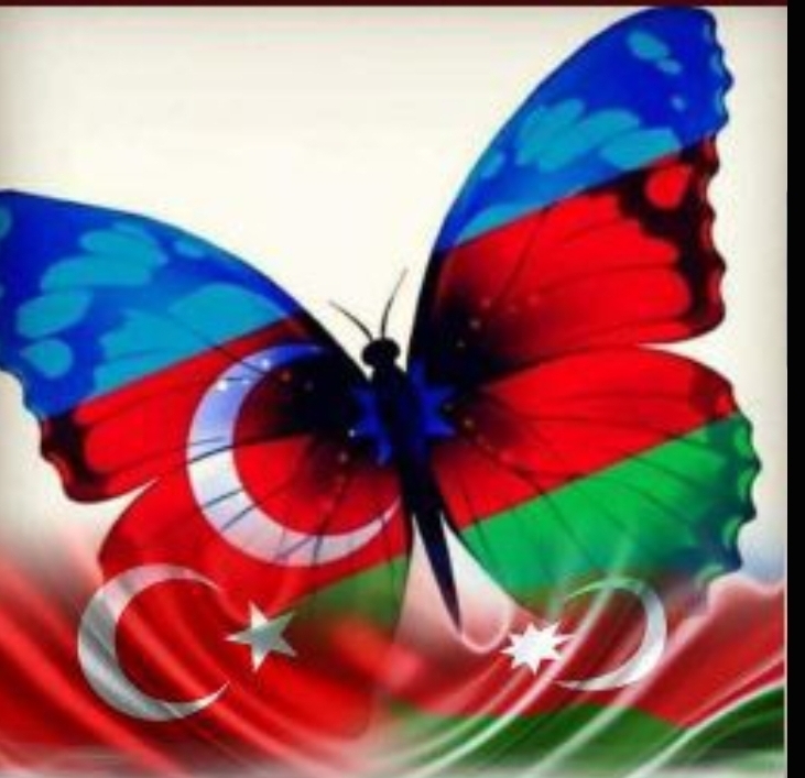 Dalğalı