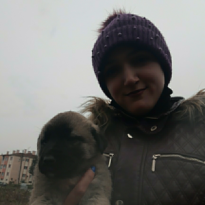 Buse