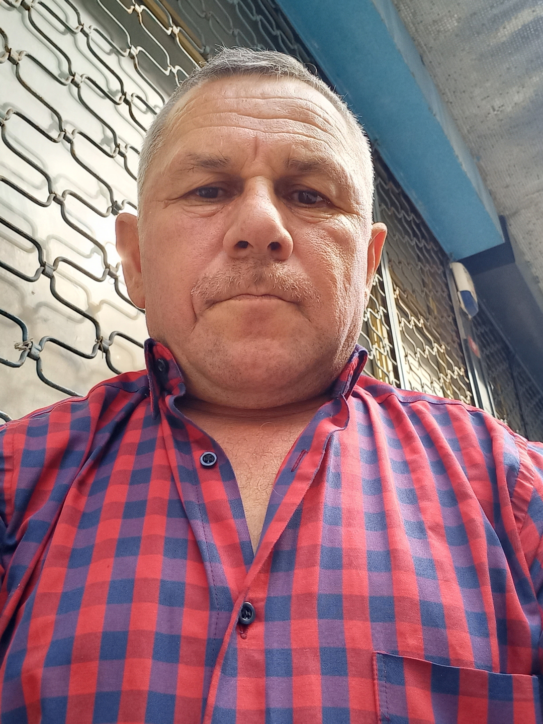 Mitat