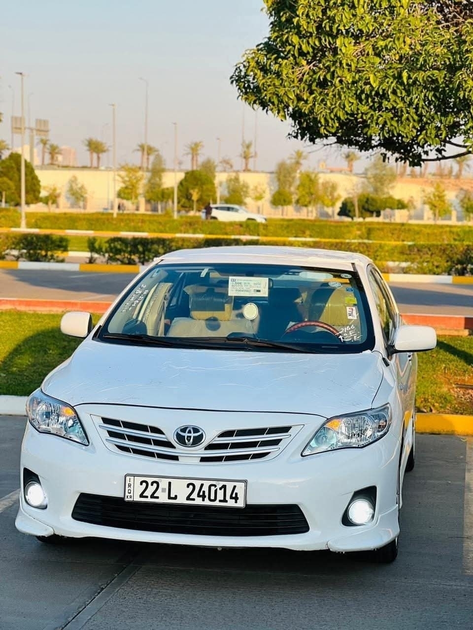 سعد
