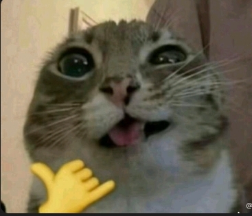 Elpapu