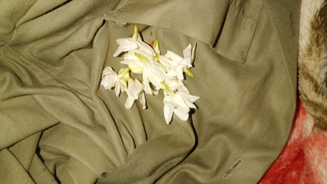 ماجد