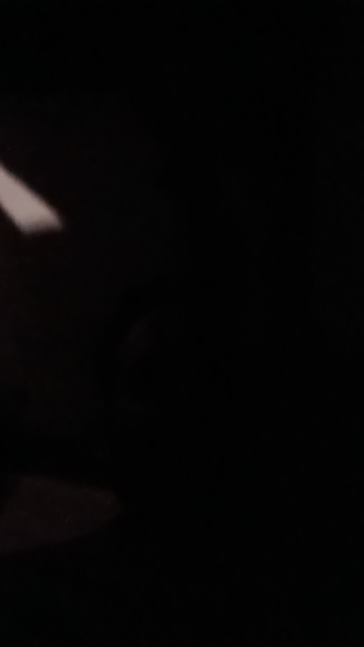 Fazal