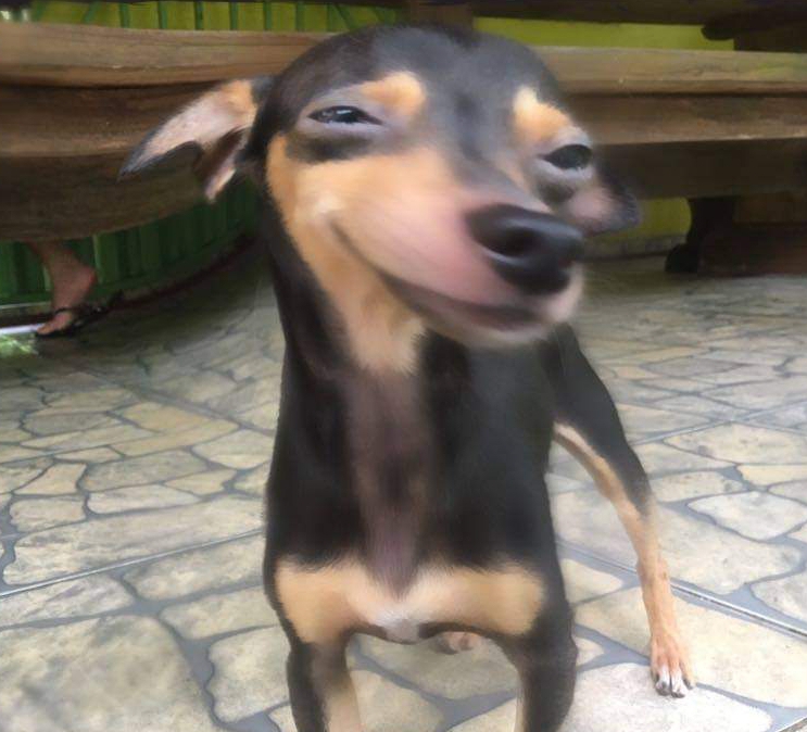 Carlos