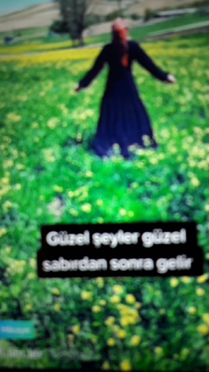Belkıs