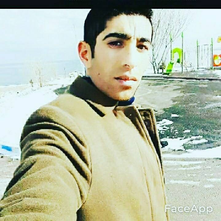 Fehmi