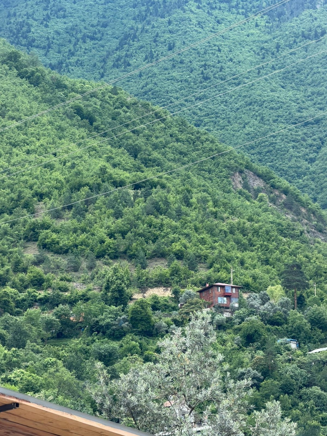 Ayşe