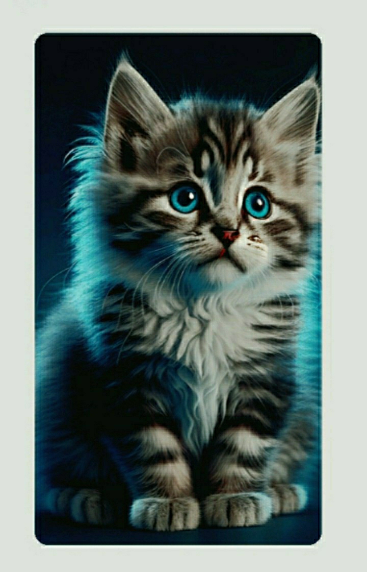 Tatvan
