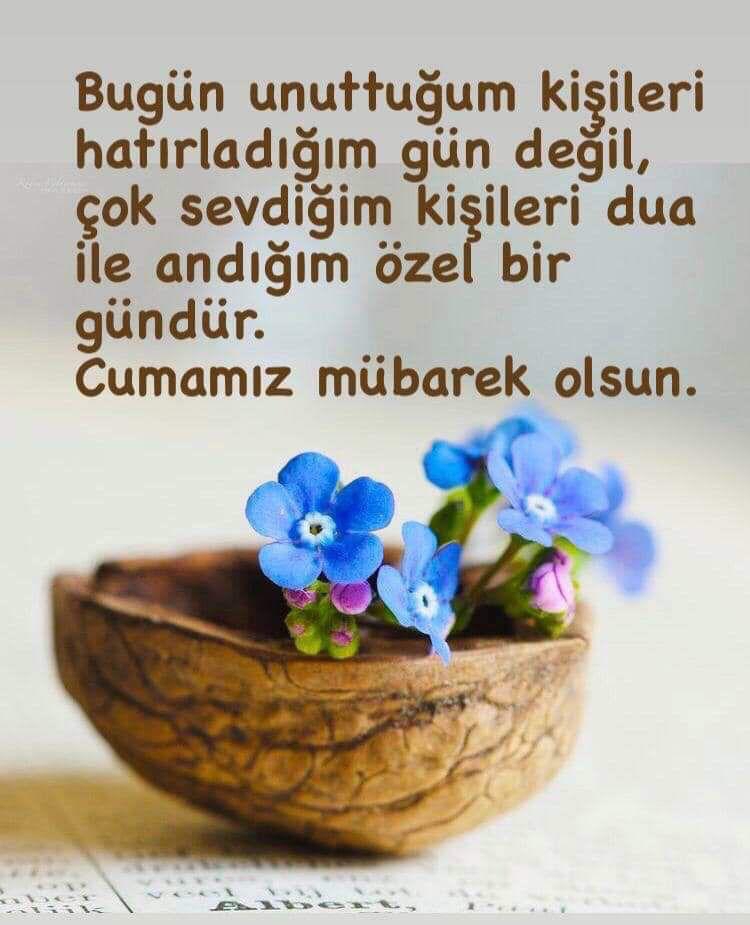 Enes
