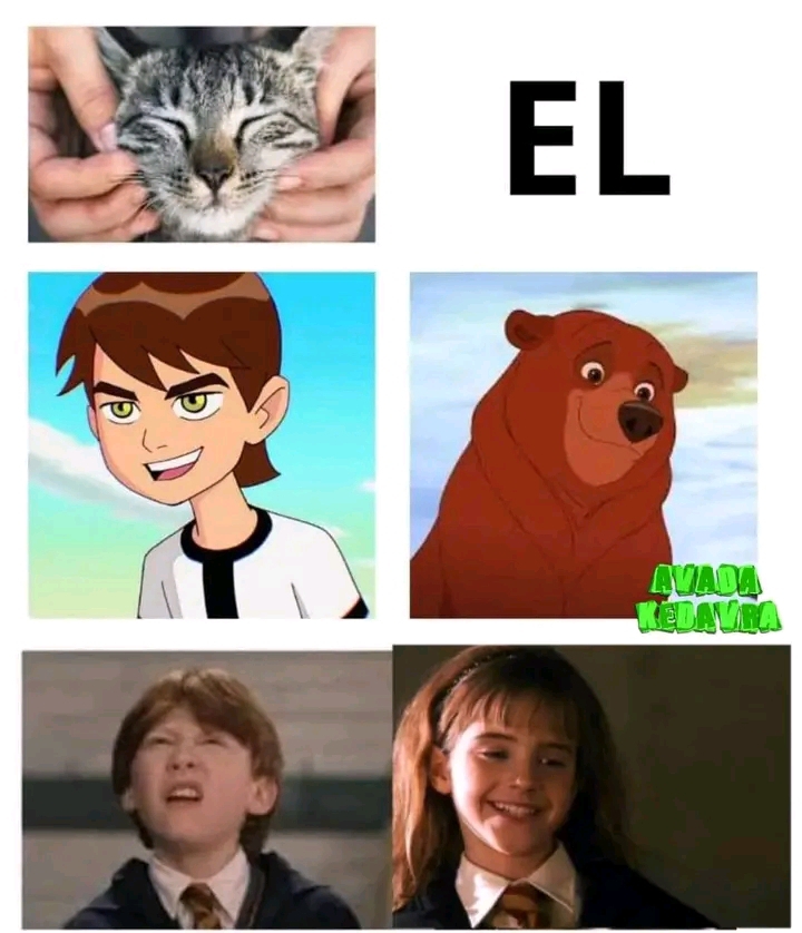 Leo