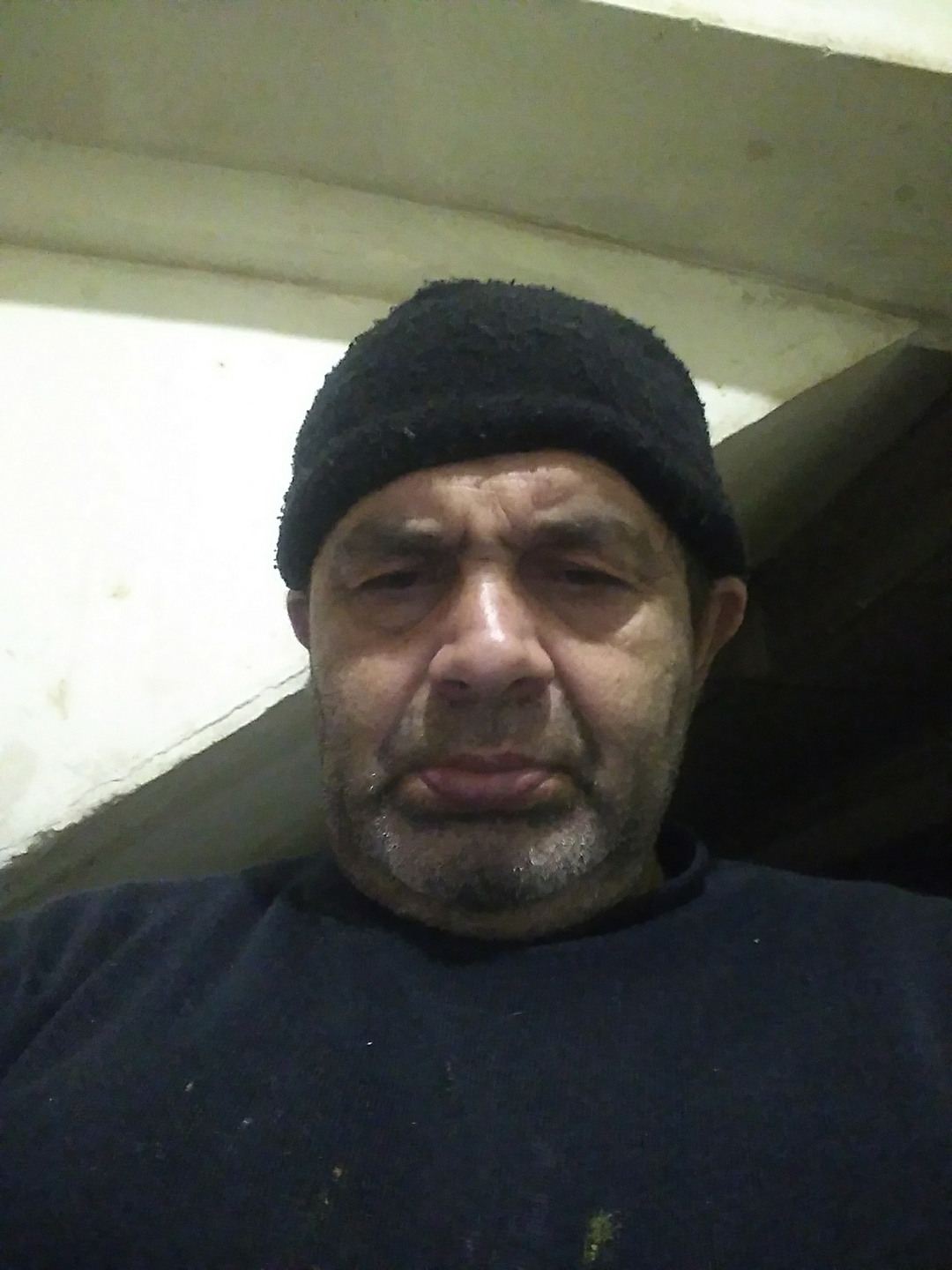 Feridun