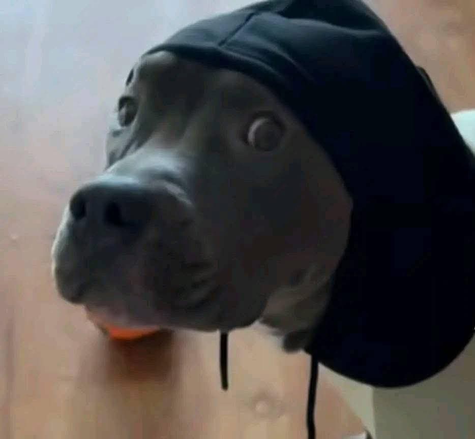 Javier