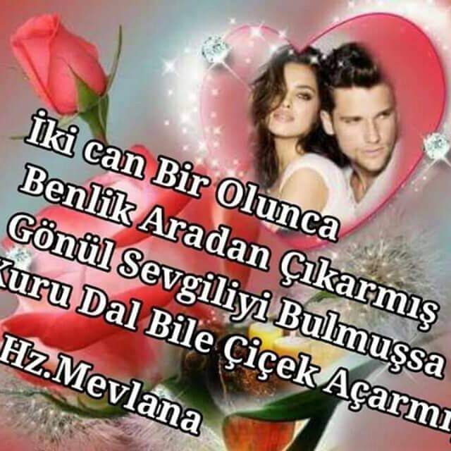 Aydın