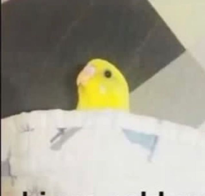 Zeki