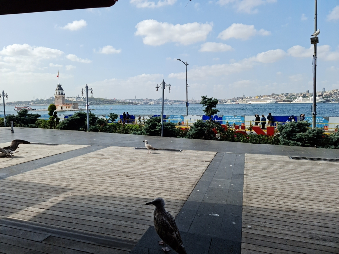 Murat