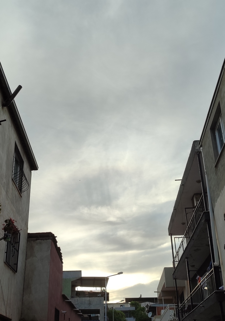 Nur