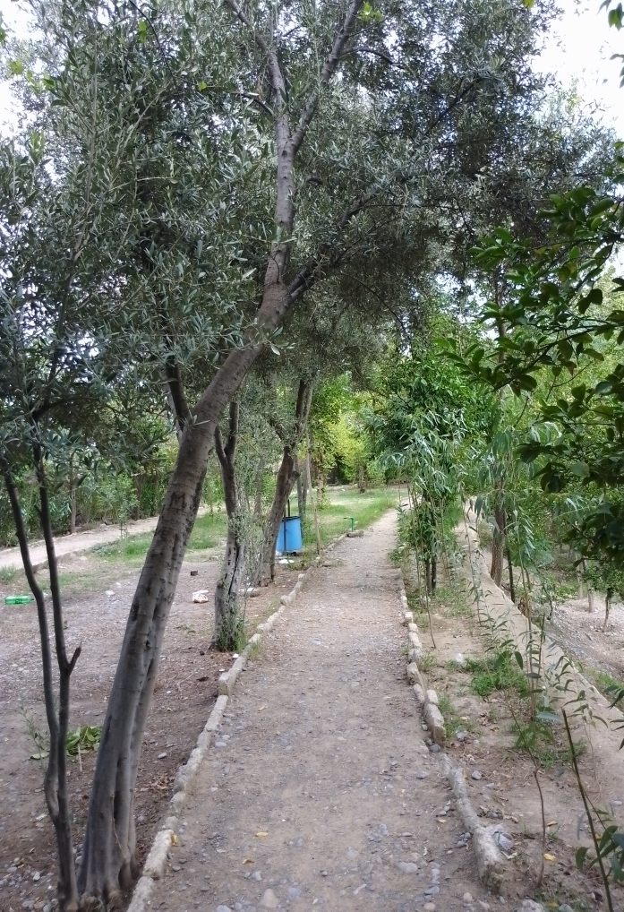 Khattak