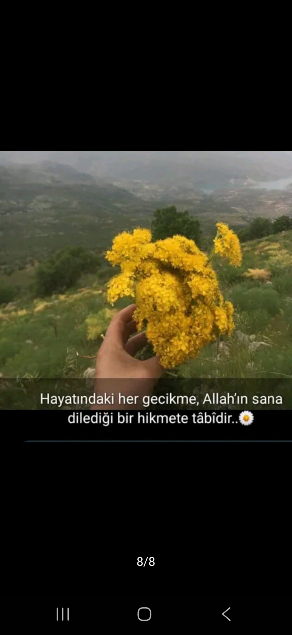Sukran