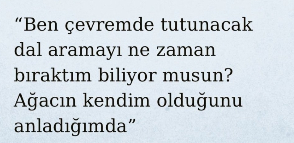 Şanver