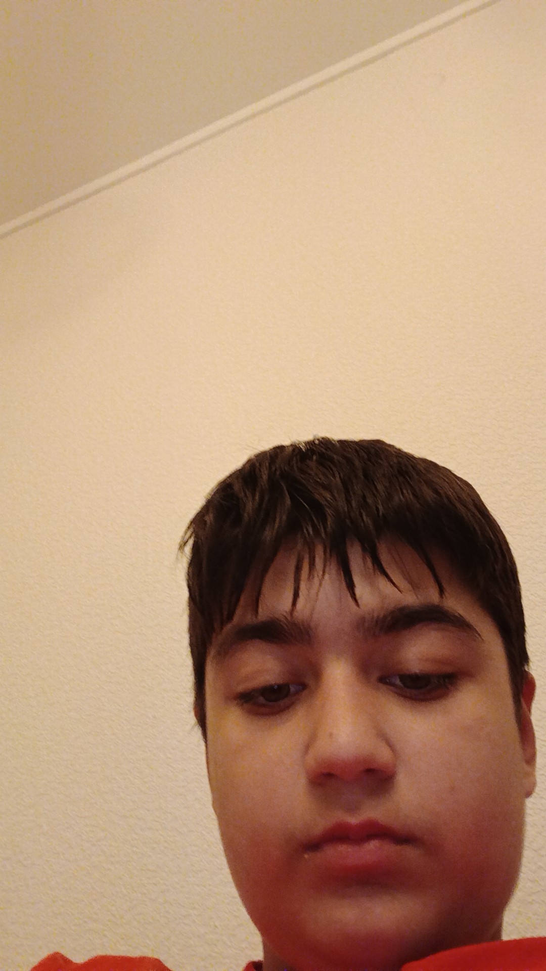 Bibi