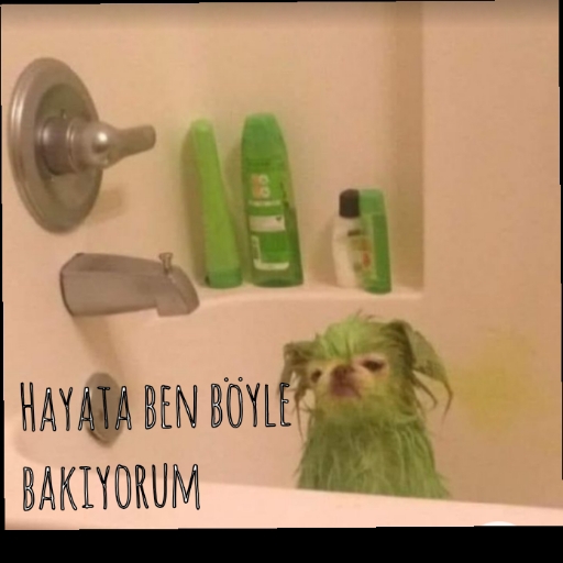 İrem