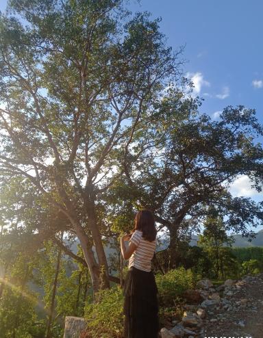 Roshani