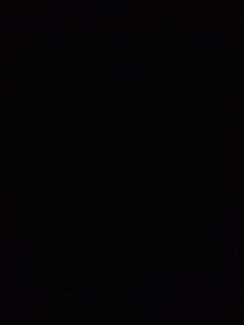 Luis